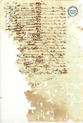 Francisca Maria da Conceição-FL22.jpg