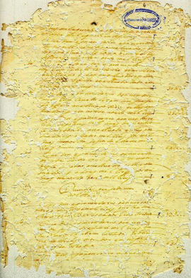 Maria Siqueira de Andrade-FL06.JPG