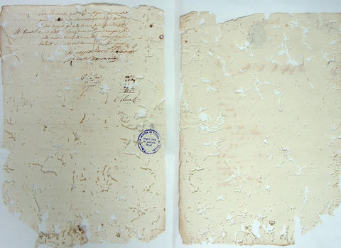 Original Digital object not accessible