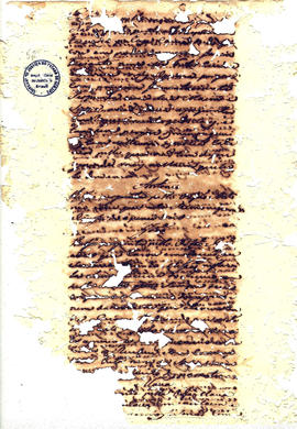 Antonio Carvalho de Oliveira-FL052.JPG