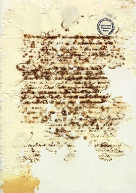 Antonio Carvalho de Oliveira-FL350.JPG