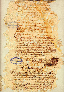 Felix Alvares Vianna-FL20.jpg