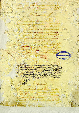 Gregória de Souza-FL14.JPG