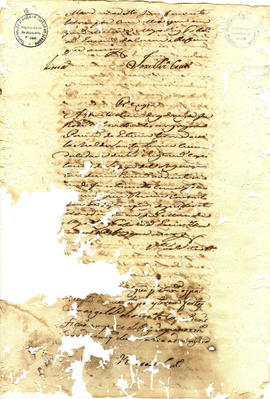 Francisca Maria da Conceição-FL18.jpg