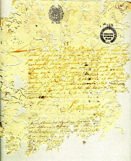 Antonio Carvalho de Oliveira-FL364.JPG