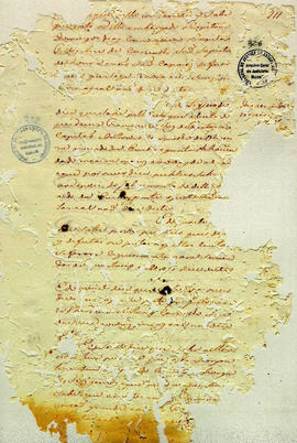 Antonio Carvalho de Oliveira-FL326.JPG