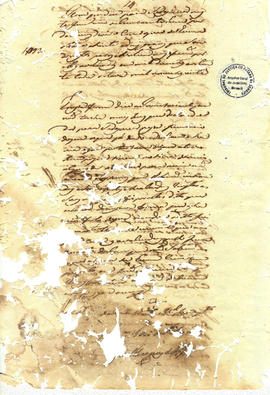 Francisca Maria da Conceição-FL08.jpg