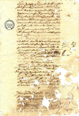 Francisca Maria da Conceição-FL07.jpg