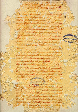 Felix Alvares Vianna-FL10.jpg