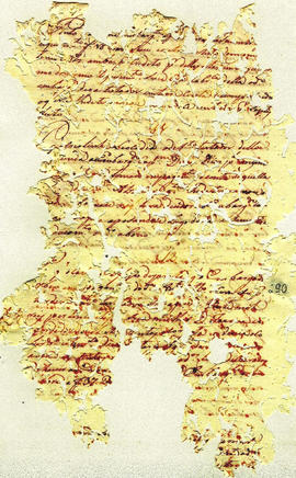 Antonio Carvalho de Oliveira-FL290.JPG