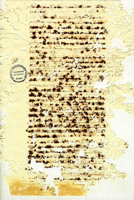 Antonio Carvalho de Oliveira-FL268.JPG