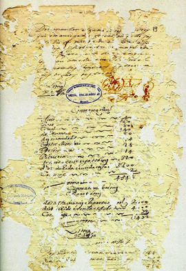 Maria Siqueira de Andrade-FL19.JPG