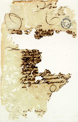 Antonio Carvalho de Oliveira-FL357.JPG