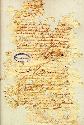 Felix Alvares Vianna-FL29.jpg