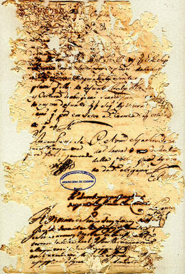 Felix Alvares Vianna-FL31.jpg