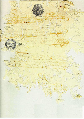 Antonio Carvalho de Oliveira-FL363.JPG