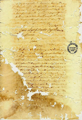 Francisca Maria da Conceição-FL37.JPG