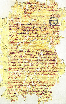 Antonio Carvalho de Oliveira-FL293.JPG