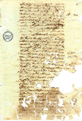 Francisca Maria da Conceição-FL11.jpg