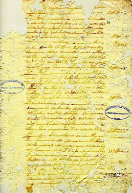 Gregória de Souza-FL03.JPG