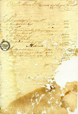 Francisca Maria da Conceição-FL29.JPG