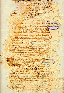 Felix Alvares Vianna-FL21.jpg