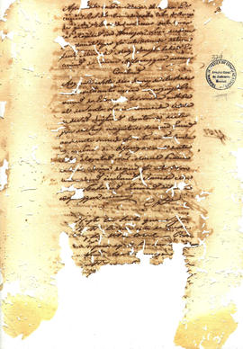 Antonio Carvalho de Oliveira-FL375.JPG