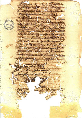 Antonio Carvalho de Oliveira-FL374.JPG