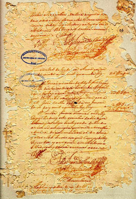 Felix Alvares Vianna-FL03.jpg