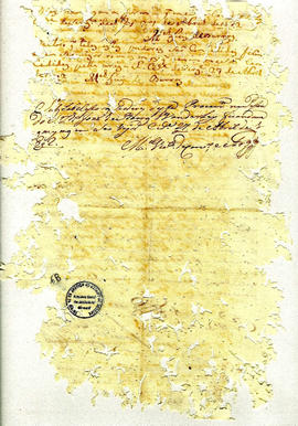 Antonio Carvalho de Oliveira-FL068.JPG