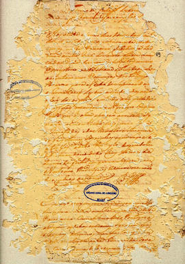 Felix Alvares Vianna-FL09.jpg