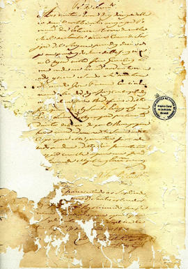 Francisca Maria da Conceição-FL28.JPG