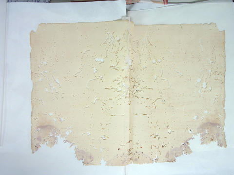 Original Digital object not accessible