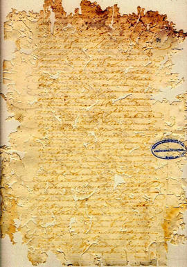 Thereza Rodrigues de Jesus-FL04.jpg