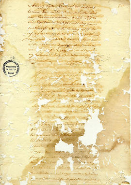 Francisca Maria da Conceição-FL50.JPG