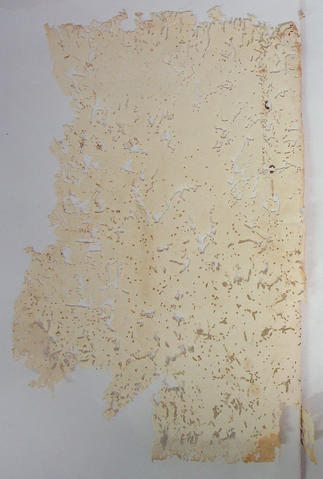 Original Digital object not accessible