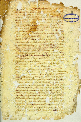 Maria Siqueira de Andrade-FL11.JPG