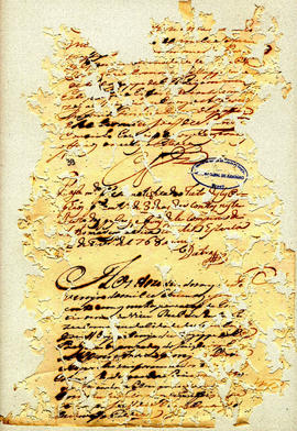 Felix Alvares Vianna-FL39.jpg