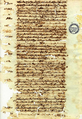 Fustuoso José Machado-FL10.JPG