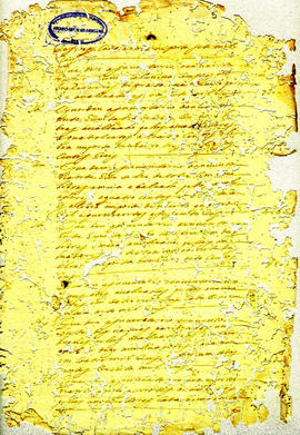 Maria Siqueira de Andrade-FL05.JPG