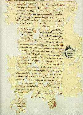 Antonio Carvalho de Oliveira-FL316.JPG