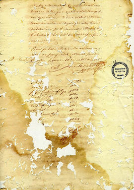 Francisca Maria da Conceição-FL51.JPG