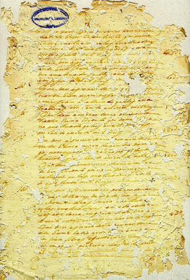 Maria Siqueira de Andrade-FL04.JPG