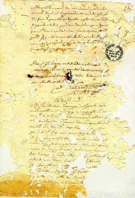 Antonio Carvalho de Oliveira-FL338.JPG