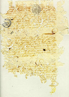 Antonio Carvalho de Oliveira-FL361.JPG