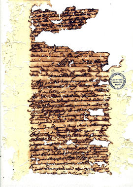 Antonio Carvalho de Oliveira-FL058.JPG