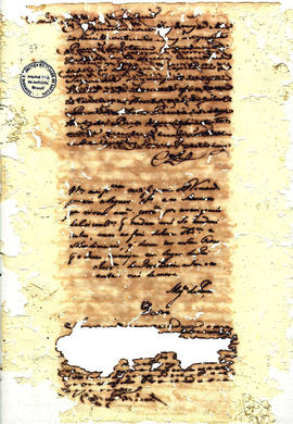 Antonio Carvalho de Oliveira-FL057.JPG