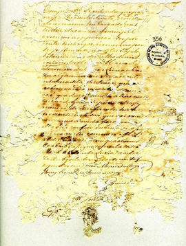 Antonio Carvalho de Oliveira-FL356.JPG