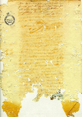 Antonio Carvalho de Oliveira-FL380.JPG