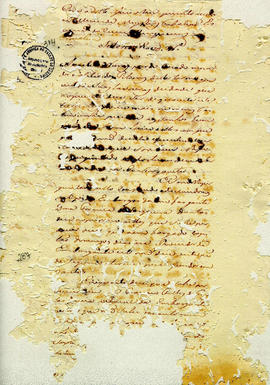 Antonio Carvalho de Oliveira-FL314.JPG